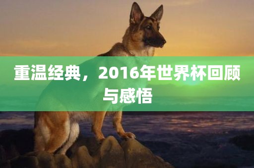 重温经典，2016年世界杯回顾与感悟