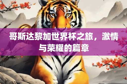 哥斯达黎加世界杯之旅，激情与荣耀的篇章