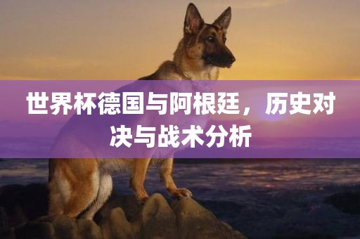 世界杯德国与阿根廷，历史对决与战术分析