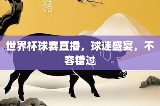 世界杯球赛直播，球迷盛宴，不容错过