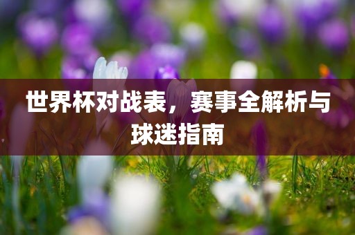 世界杯对战表，赛事全解析与球迷指南