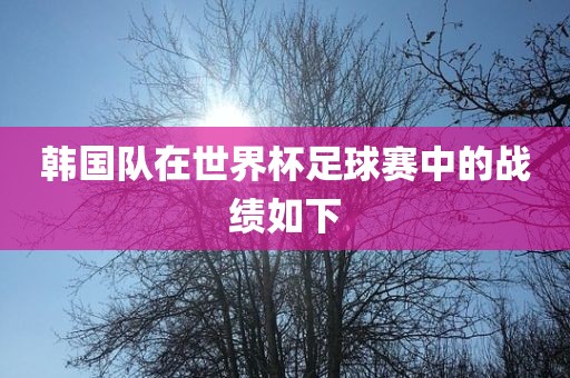 韩国队在世界杯足球赛中的战绩如下