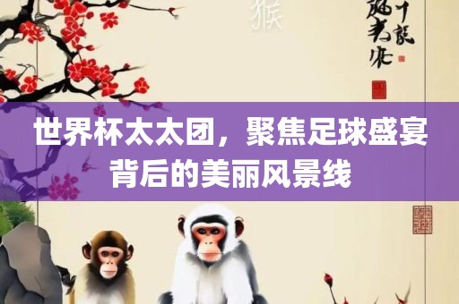 世界杯太太团，聚焦足球盛宴背后的美丽风景线