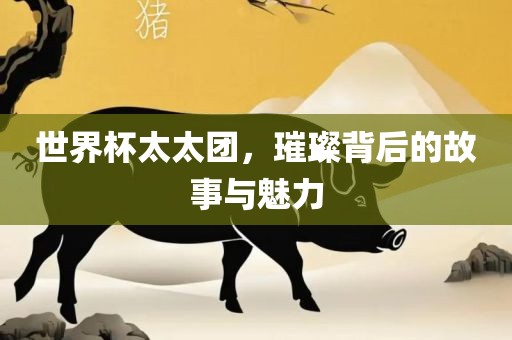 世界杯太太团，璀璨背后的故事与魅力
