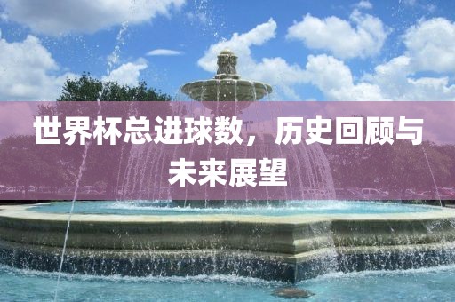 世界杯总进球数，历史回顾与未来展望