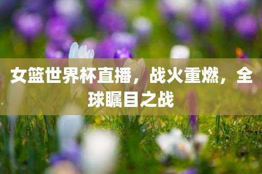 女篮世界杯直播，战火重燃，全球瞩目之战