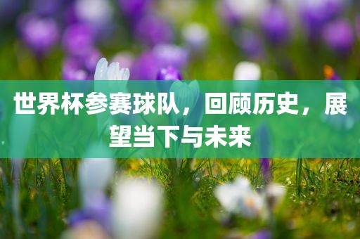 世界杯参赛球队，回顾历史，展望当下与未来
