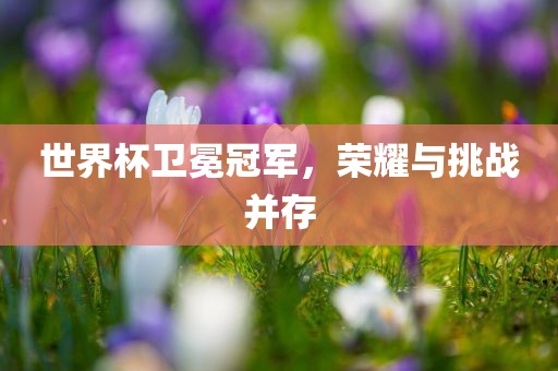 世界杯卫冕冠军，荣耀与挑战并存