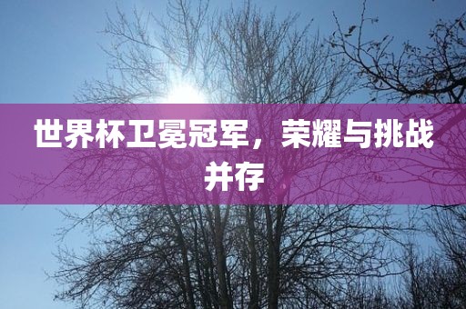 世界杯卫冕冠军，荣耀与挑战并存