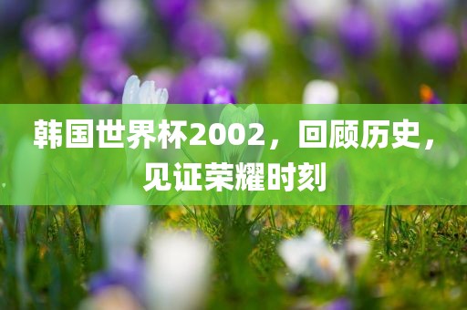 韩国世界杯2002，回顾历史，见证荣耀时刻