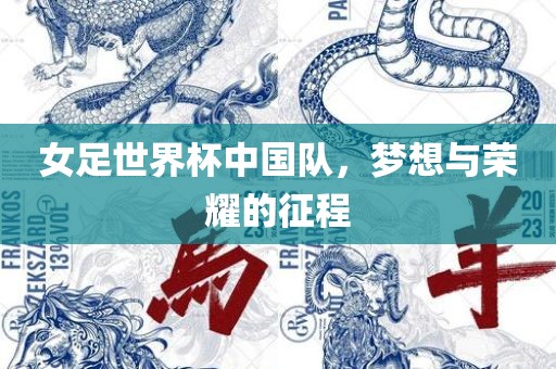 女足世界杯中国队，梦想与荣耀的征程