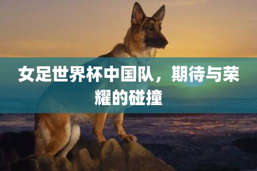 女足世界杯中国队，期待与荣耀的碰撞