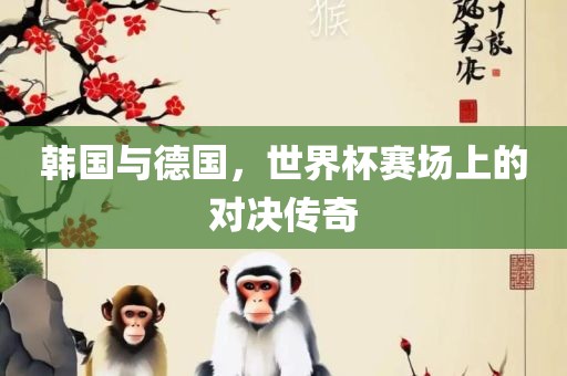 韩国与德国，世界杯赛场上的对决传奇