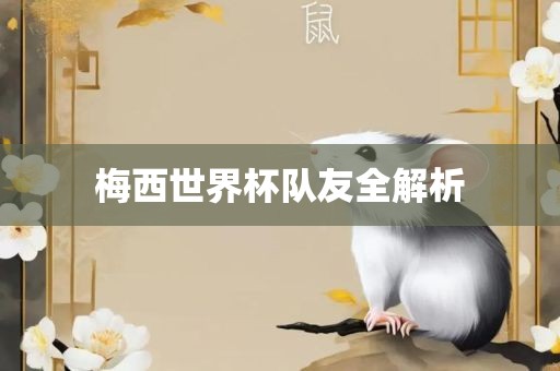 梅西世界杯队友全解析