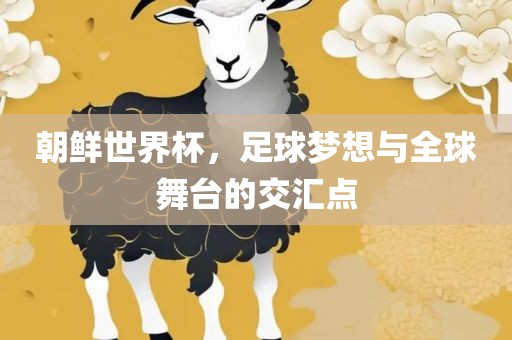 朝鲜世界杯，足球梦想与全球舞台的交汇点