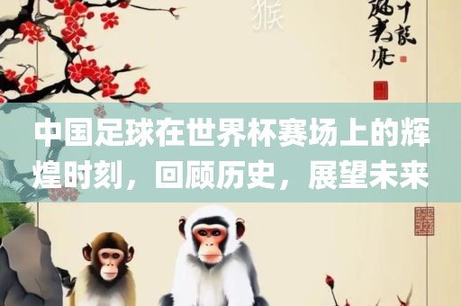中国足球在世界杯赛场上的辉煌时刻，回顾历史，展望未来
