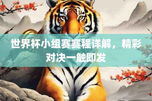 世界杯小组赛赛程详解，精彩对决一触即发