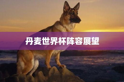丹麦世界杯阵容展望