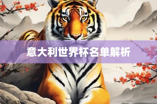 意大利世界杯名单解析