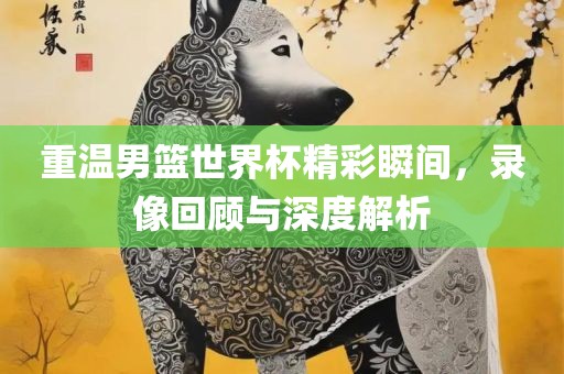 重温男篮世界杯精彩瞬间，录像回顾与深度解析