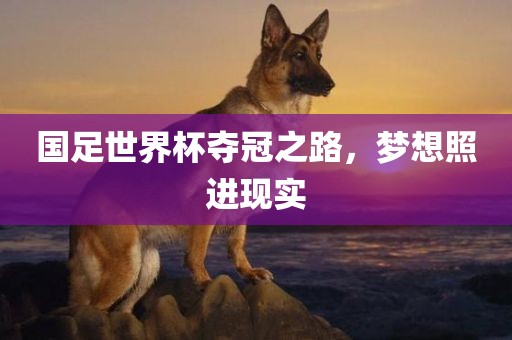 国足世界杯夺冠之路，梦想照进现实
