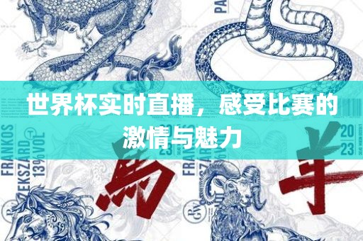 世界杯实时直播，感受比赛的激情与魅力