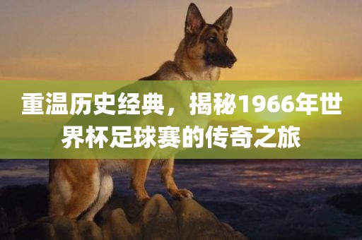重温历史经典，揭秘1966年世界杯足球赛的传奇之旅