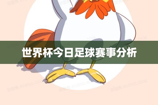 世界杯今日足球赛事分析
