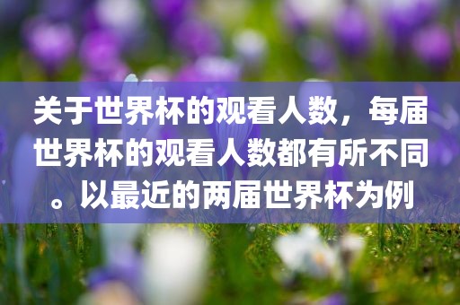 关于世界杯的观看人数，每届世界杯的观看人数都有所不同。以最近的两届世界杯为例