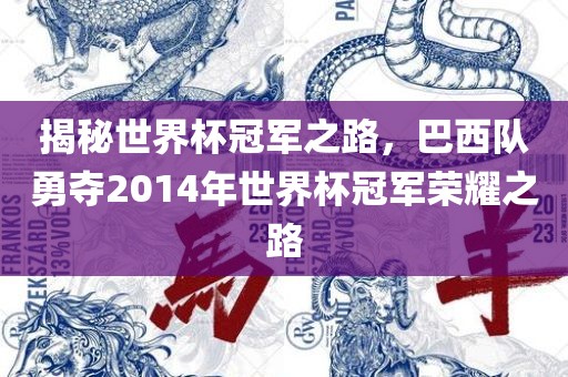 揭秘世界杯冠军之路，巴西队勇夺2014年世界杯冠军荣耀之路