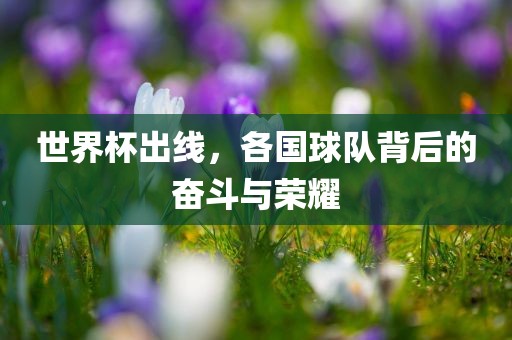 世界杯出线，各国球队背后的奋斗与荣耀