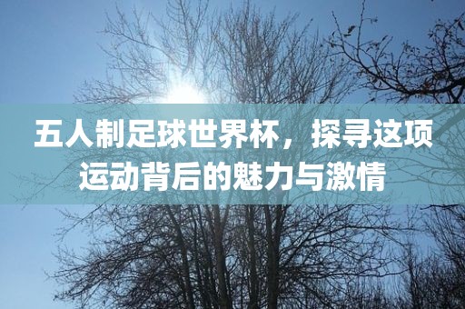 五人制足球世界杯，探寻这项运动背后的魅力与激情