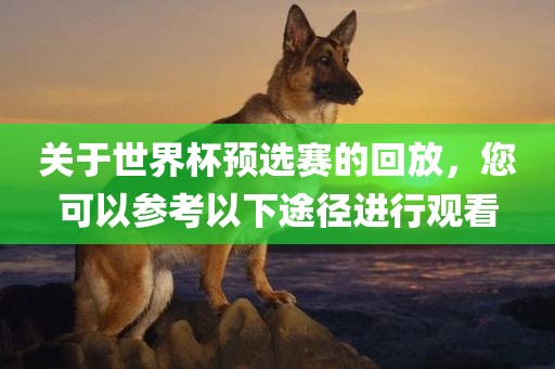 关于世界杯预选赛的回放，您可以参考以下途径进行观看