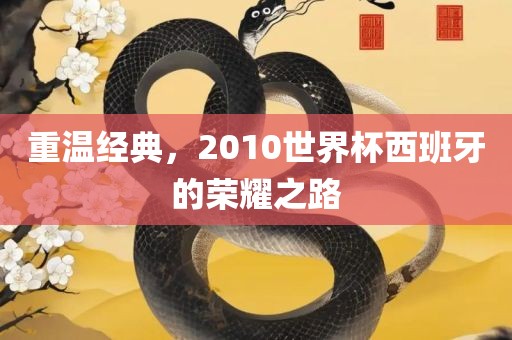 重温经典，2010世界杯西班牙的荣耀之路
