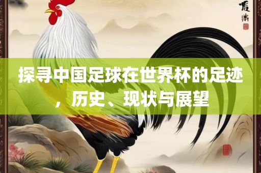 探寻中国足球在世界杯的足迹，历史、现状与展望