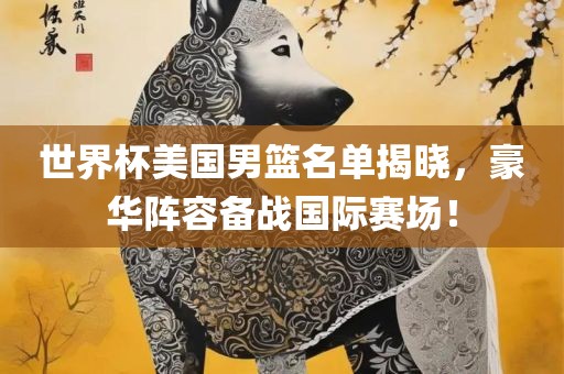 世界杯美国男篮名单揭晓，豪华阵容备战国际赛场！