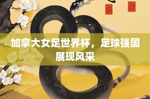 加拿大女足世界杯，足球强国展现风采