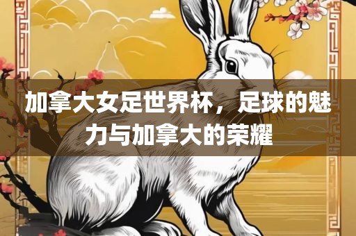 加拿大女足世界杯，足球的魅力与加拿大的荣耀