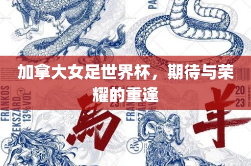 加拿大女足世界杯，期待与荣耀的重逢
