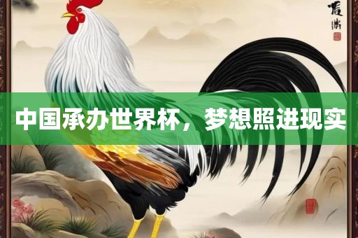 中国承办世界杯，梦想照进现实