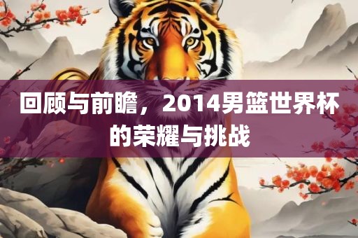 回顾与前瞻，2014男篮世界杯的荣耀与挑战