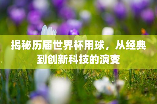 揭秘历届世界杯用球，从经典到创新科技的演变