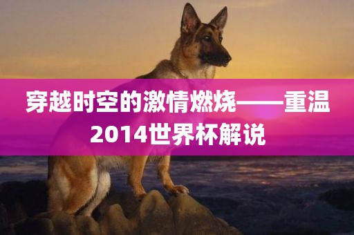 穿越时空的激情燃烧——重温2014世界杯解说