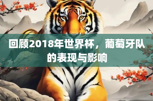 回顾2018年世界杯，葡萄牙队的表现与影响