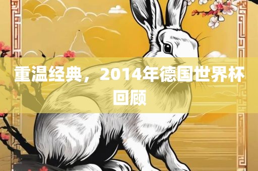 重温经典，2014年德国世界杯回顾