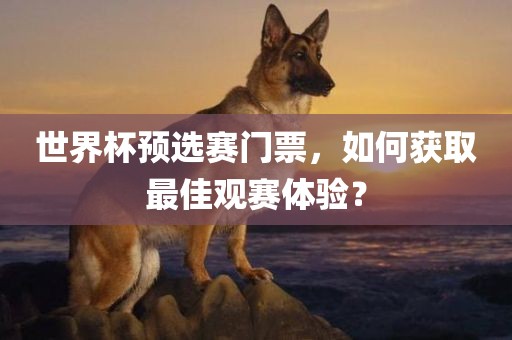 世界杯预选赛门票，如何获取最佳观赛体验？