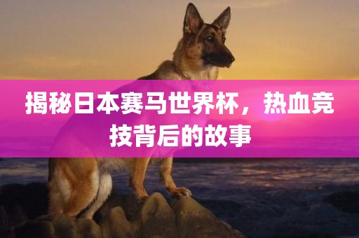 揭秘日本赛马世界杯，热血竞技背后的故事