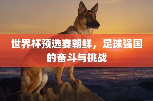 世界杯预选赛朝鲜，足球强国的奋斗与挑战