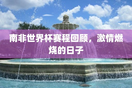 南非世界杯赛程回顾，激情燃烧的日子