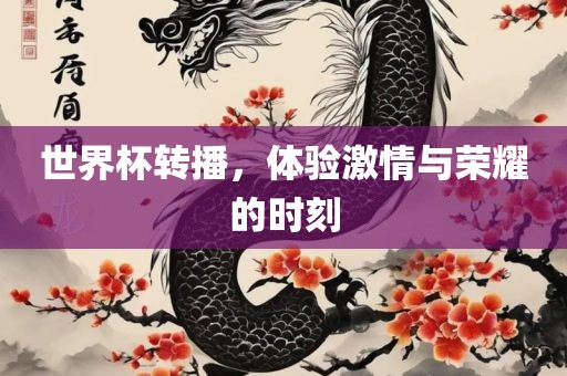世界杯转播，体验激情与荣耀的时刻